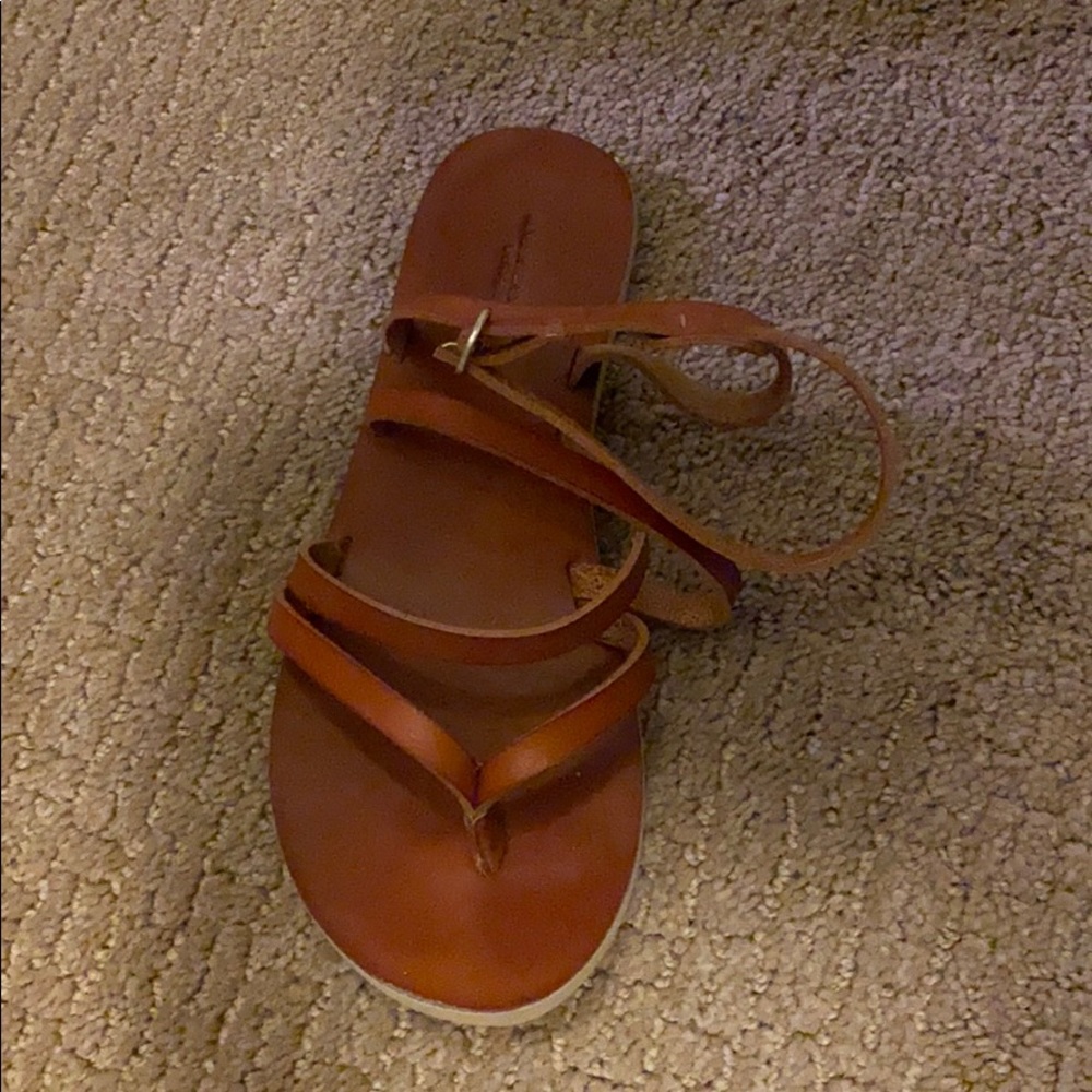 Brown Gladiators